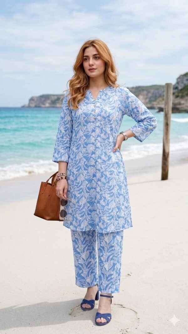 Sky Mist Printed Kurta Co-ord Set-156